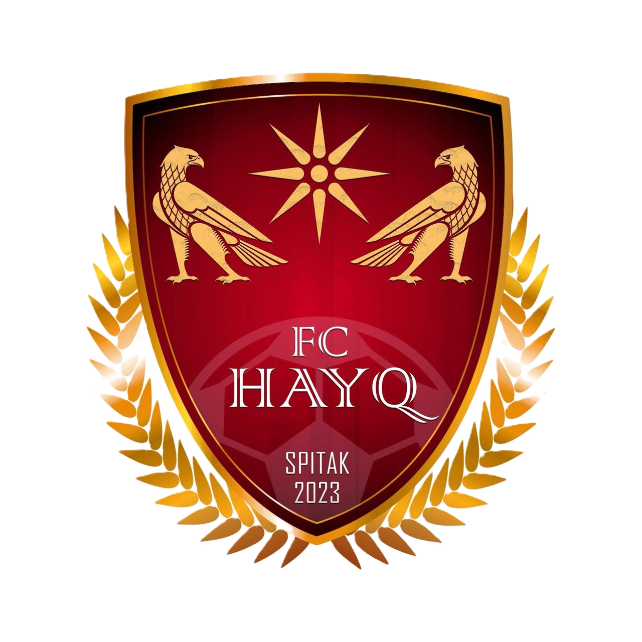 FC HAYQ logo